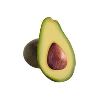Fuerte Avocado