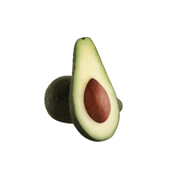 Pinkerton Avocado