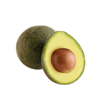 Reed Avocado